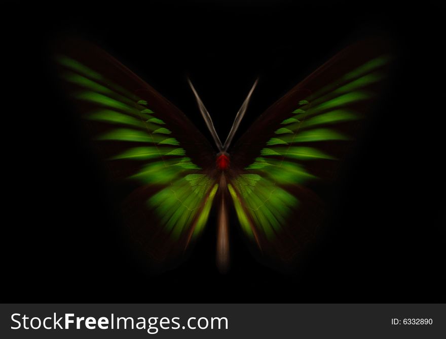 Beautiful butterfly zoom isolated on the black background