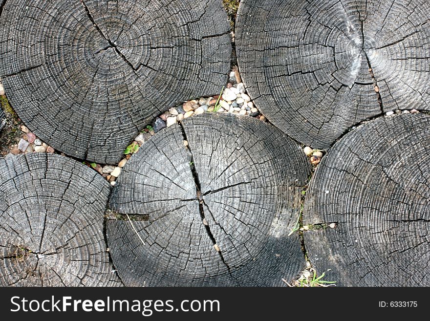 Wood circles on a ground