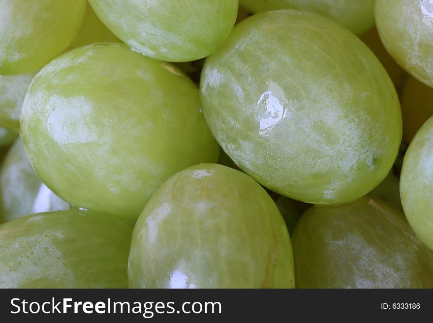 Detail of green grape-vine