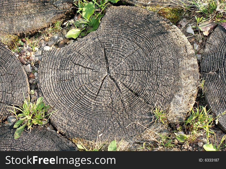 Wood circles on a ground