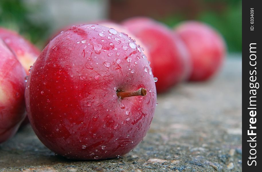 Red apples in a garden in dew