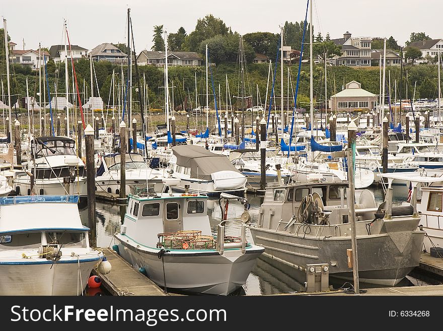 Many fishing and pleasure boats in a large harbor. Many fishing and pleasure boats in a large harbor