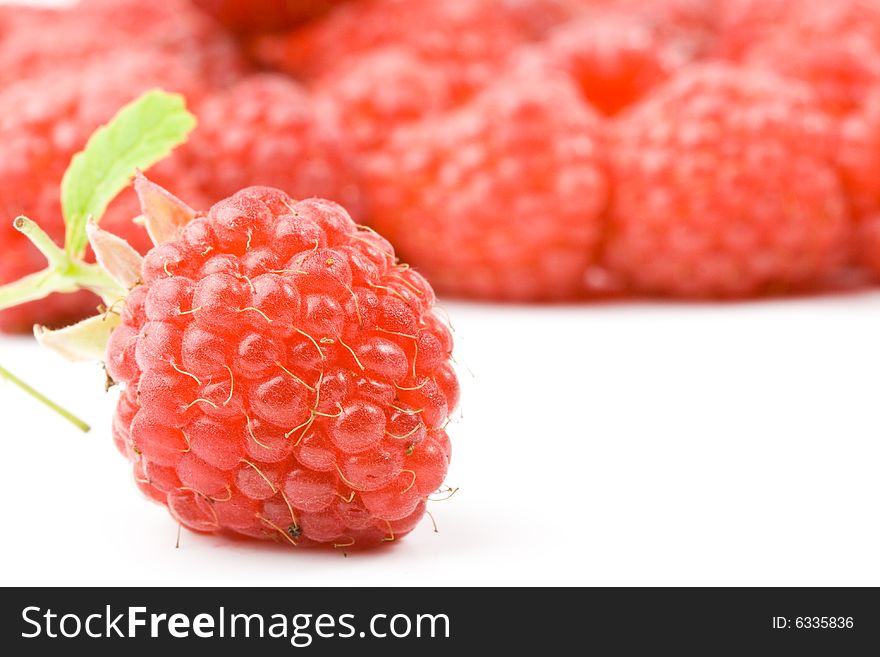 Fresh Raspberry
