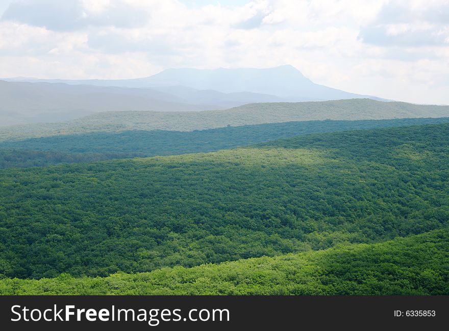 Beautiful mountain landscape with green forest in the foreground