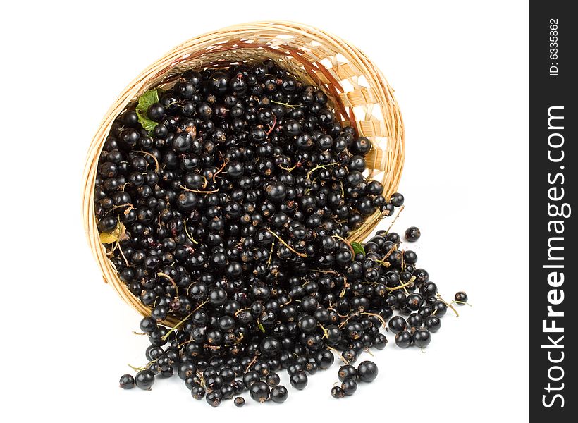 Fresh blackcurrant in a basket on a white background