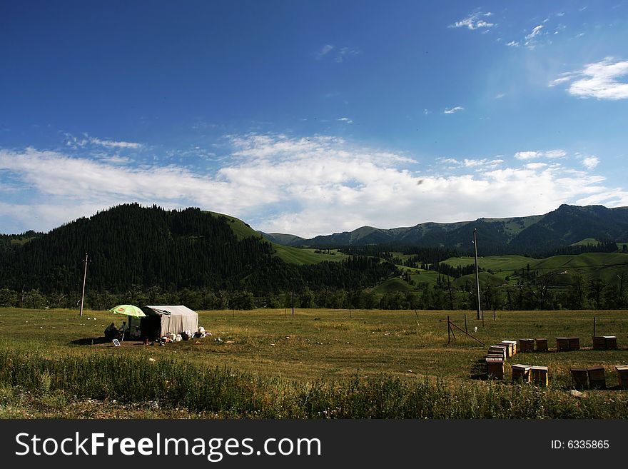 The scene of sinkiang .looks very beautiful . The scene of sinkiang .looks very beautiful .