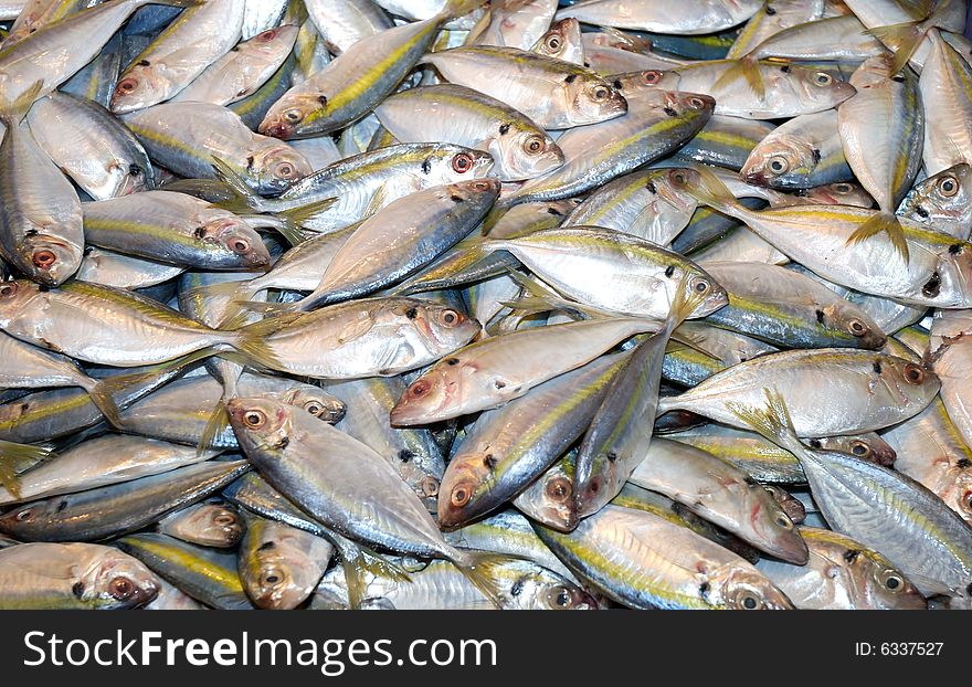 Fresh sardines in fish market