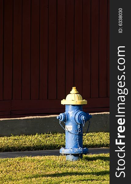 Blue And Yellow Hydrant