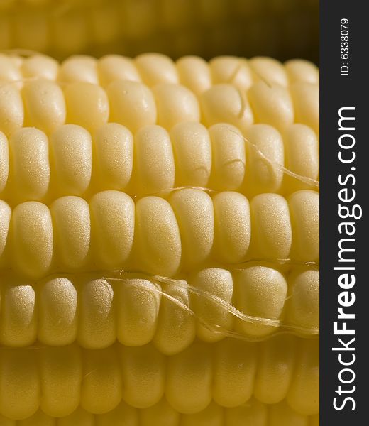 A closeup up of an ear of corn. A closeup up of an ear of corn.