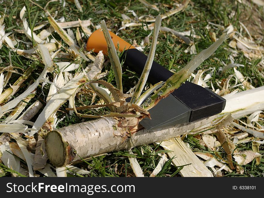 Axe And Green Timber