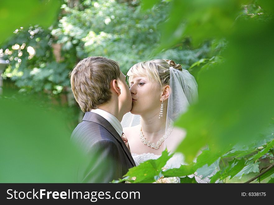 The bride and the groom during celebratory walk. The bride and the groom during celebratory walk