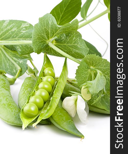 Fresh pods of peas on a white background. Fresh pods of peas on a white background