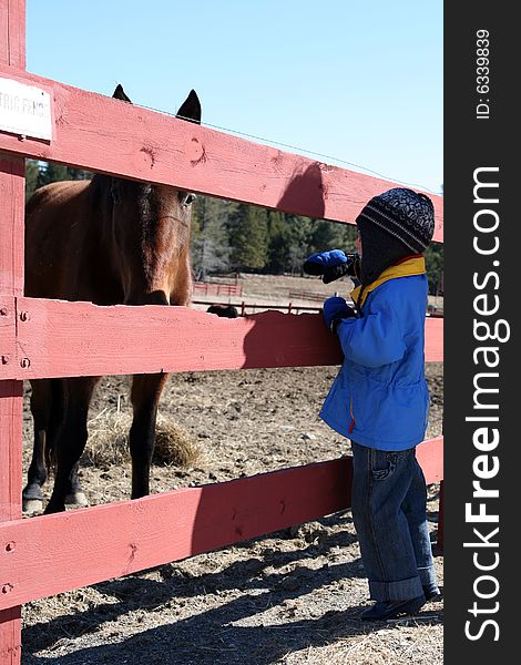 Young child in hat and mittens looking at big brown horse. Young child in hat and mittens looking at big brown horse