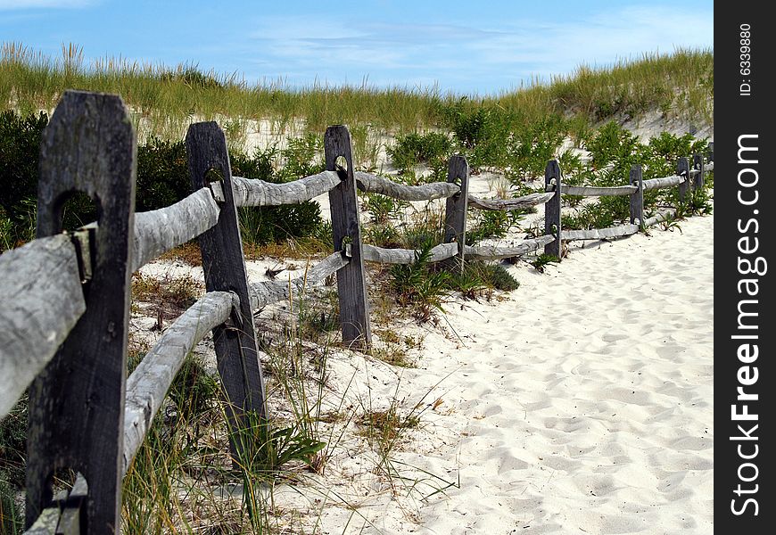 An old fens along a beach trail. An old fens along a beach trail