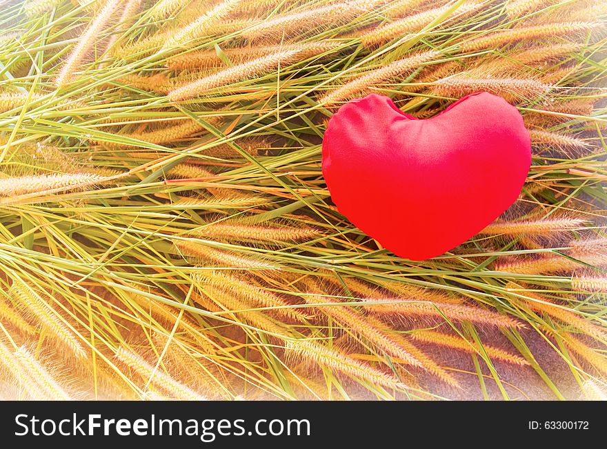 Romantic lovely valentine red heart on grass flower for love and careness concept background. Romantic lovely valentine red heart on grass flower for love and careness concept background