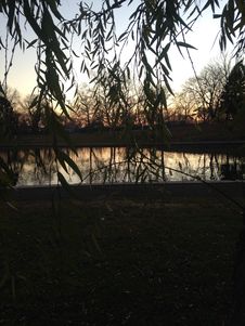Trees Reflecting In Water Surface During Sunset In Winter. Stock Images