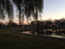 Trees Reflecting In Water Surface During Sunset In Winter. Royalty Free Stock Photos