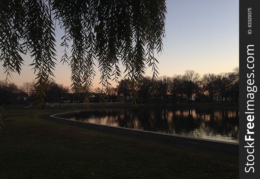 Trees Reflecting in a Pond Surface during Sunset in Winter in Lincoln Park in Jersey City, NJ - view from under a Willow Tree. Trees Reflecting in a Pond Surface during Sunset in Winter in Lincoln Park in Jersey City, NJ - view from under a Willow Tree.