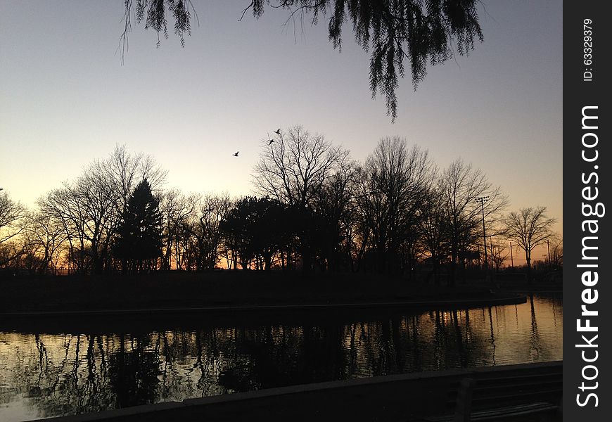 Trees Reflecting in a Pond Surface during Sunset in Winter in Lincoln Park in Jersey City, NJ - view from under a Willow Tree. Trees Reflecting in a Pond Surface during Sunset in Winter in Lincoln Park in Jersey City, NJ - view from under a Willow Tree.