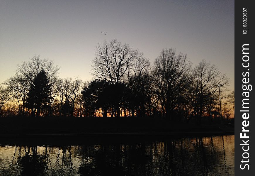 Trees Reflecting in a Pond Surface during Sunset in Winter in Lincoln Park in Jersey City, NJ. Trees Reflecting in a Pond Surface during Sunset in Winter in Lincoln Park in Jersey City, NJ.