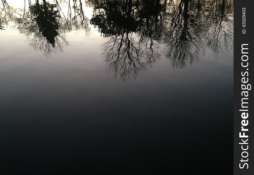 Trees Reflecting In Water Surface During Sunset In Winter.