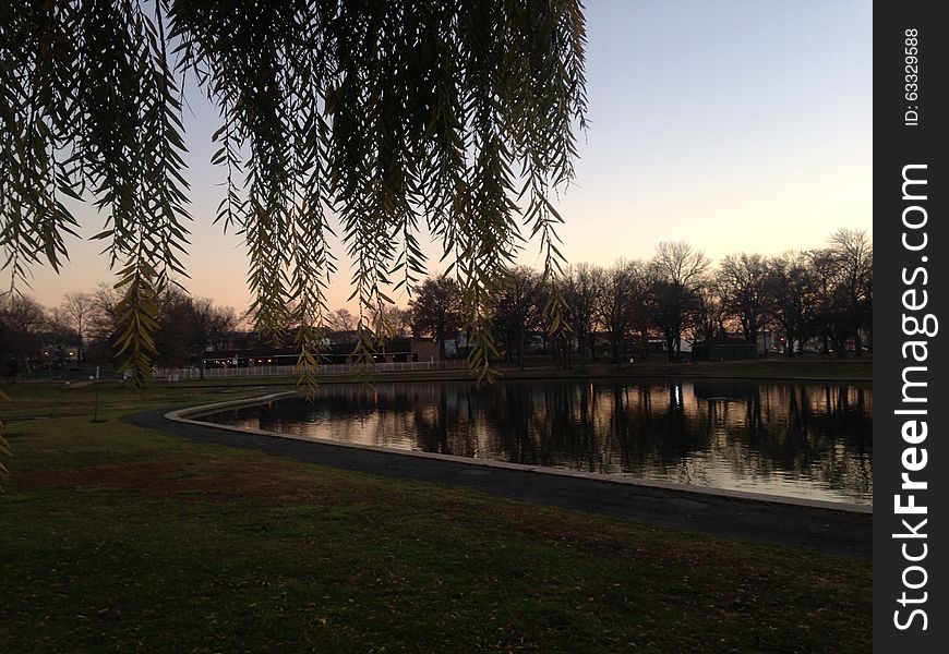 Trees Reflecting in Water Surface during Sunset in Winter.