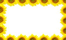 63+ Sunflower border Free Stock Photos - StockFreeImages