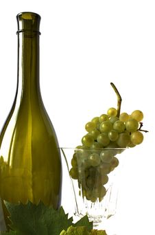 Grapevine (vitis Vinifera) - Berries With Leaves A Stock Image Grapevine (vitis Vinifera) - Berries With Leaves A Stock Image
