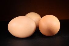 Chicken Eggs Stock Photography Chicken Eggs Stock Photography