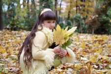 Girl In Autumn Park Stock Photo Girl In Autumn Park Stock Photo