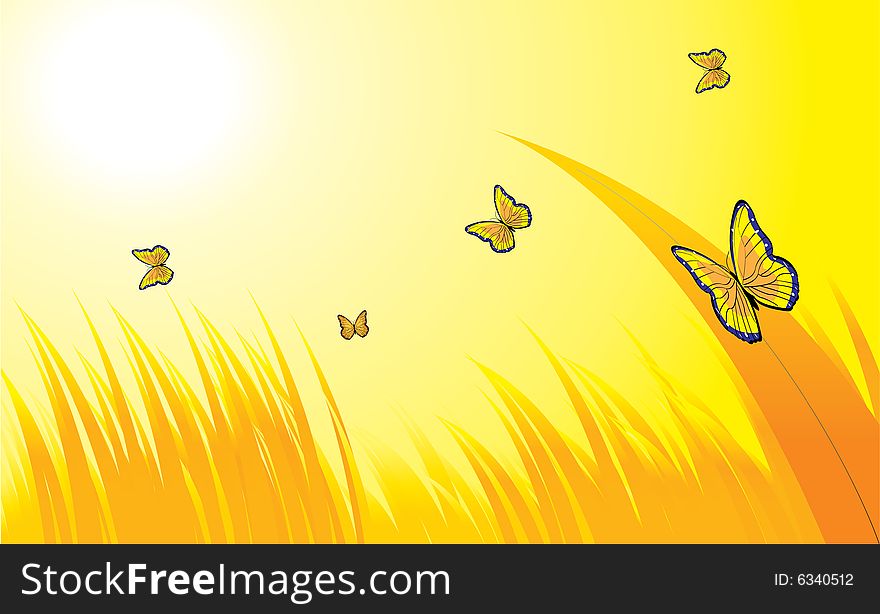 Yellow landscape - 1. Grass and butterflies on background sky