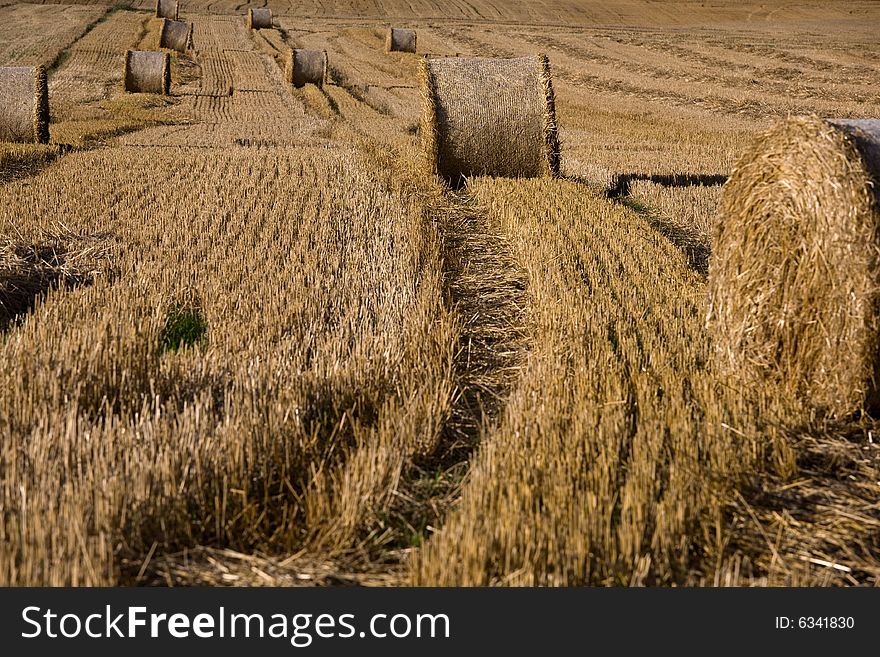 Lanes on the field with straw rolls. Lanes on the field with straw rolls.