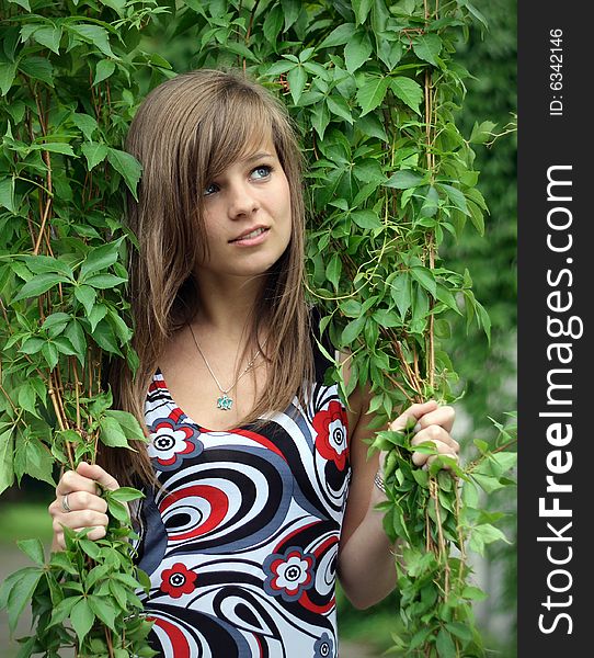 A picture of a girl, being within the branches. A picture of a girl, being within the branches