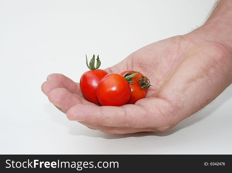 Tomato production in a palm on a white background