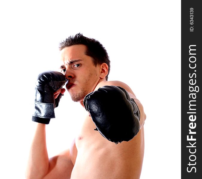 The young boxer on a white background .