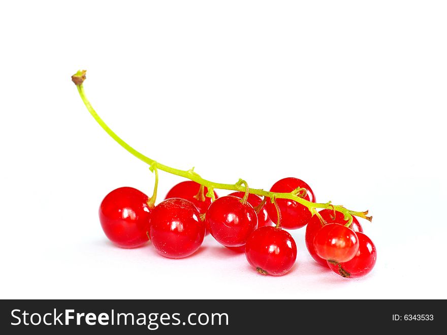 Red currant isolated on a white background