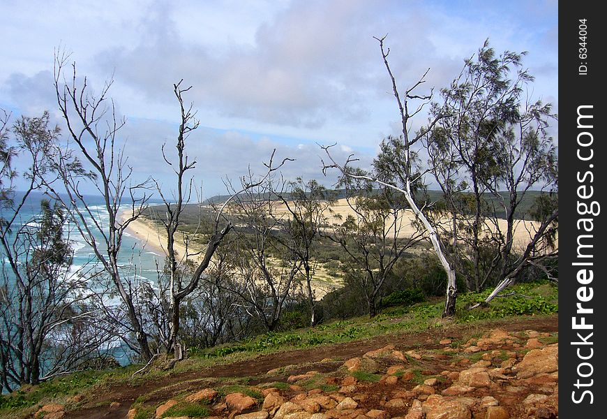 Overlooking beach and ocean at Fraser island