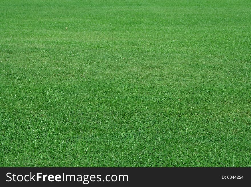 Beautifully cut field of summer grass. green spring or summer background.