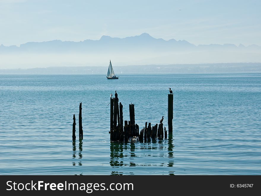Sailboat  on the lake constance, germany with the alps in the background.