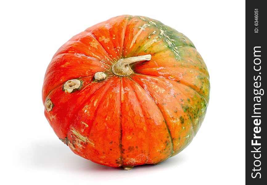 Close up of colorful pumpkin