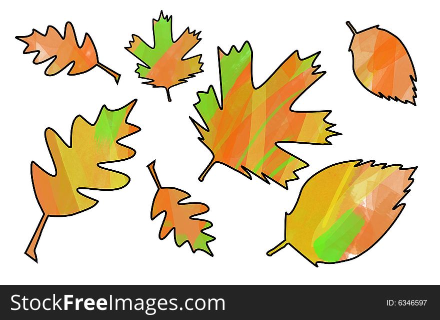 Autumn fall leaves with white background. Autumn fall leaves with white background