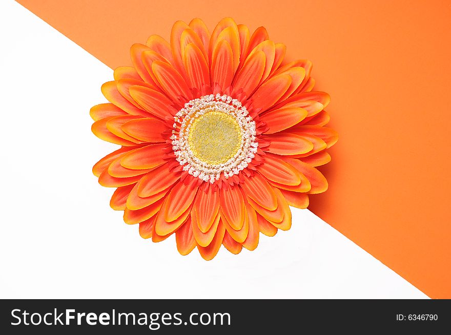 Orange flower in center with diagonal lines of color half white half orange. Orange flower in center with diagonal lines of color half white half orange