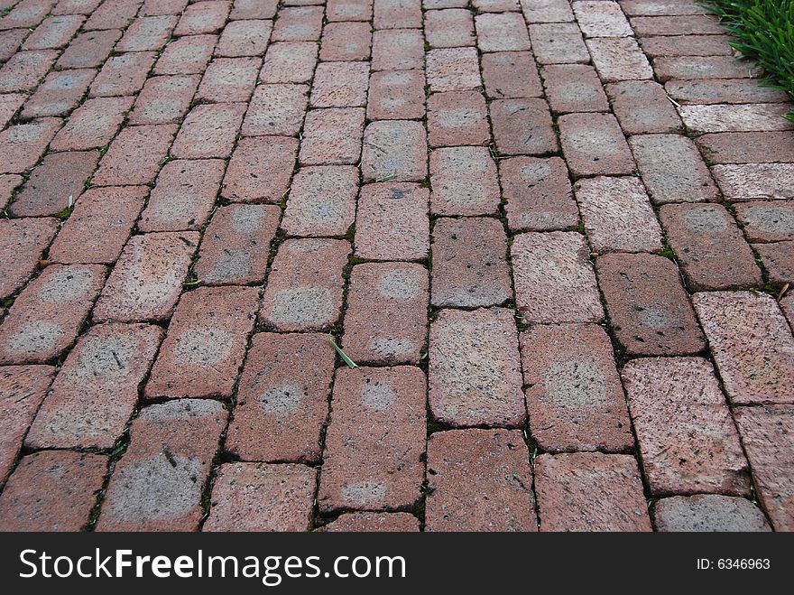 A brick path at Liberty park in Plantation Florida. A brick path at Liberty park in Plantation Florida