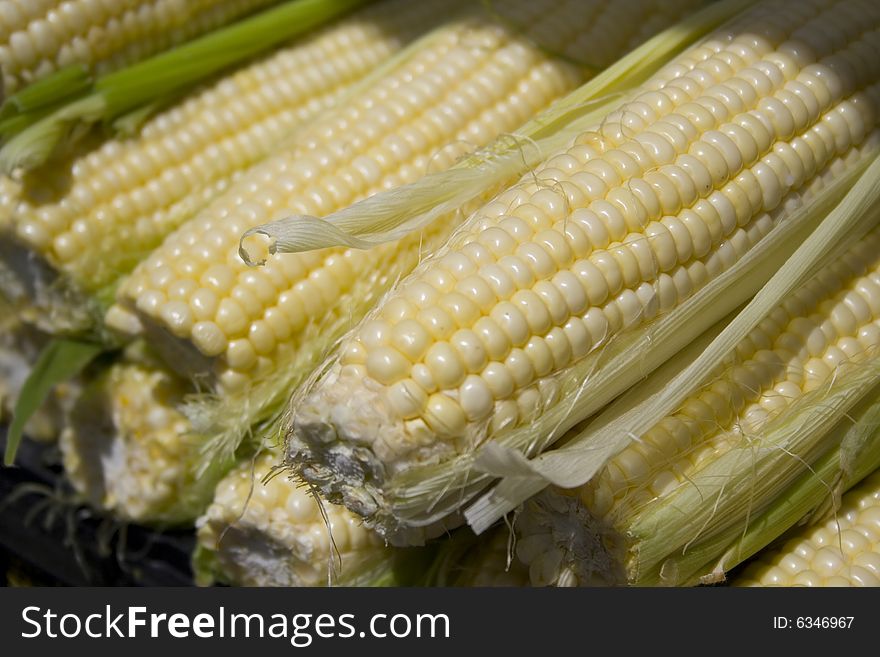 Husked organic yellow corn for sale shallow depth of field. Husked organic yellow corn for sale shallow depth of field