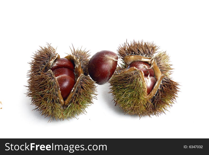 Chestnuts isolated on a white background