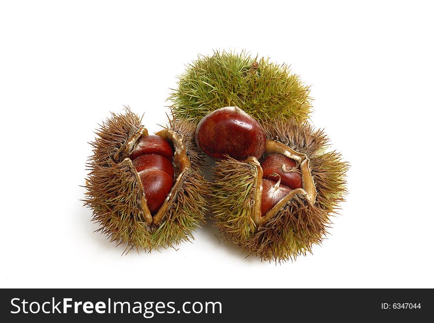 Chestnuts isolated on a white background. Chestnuts isolated on a white background