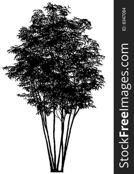 Silhouette of tree, vector art, detailed and very useful