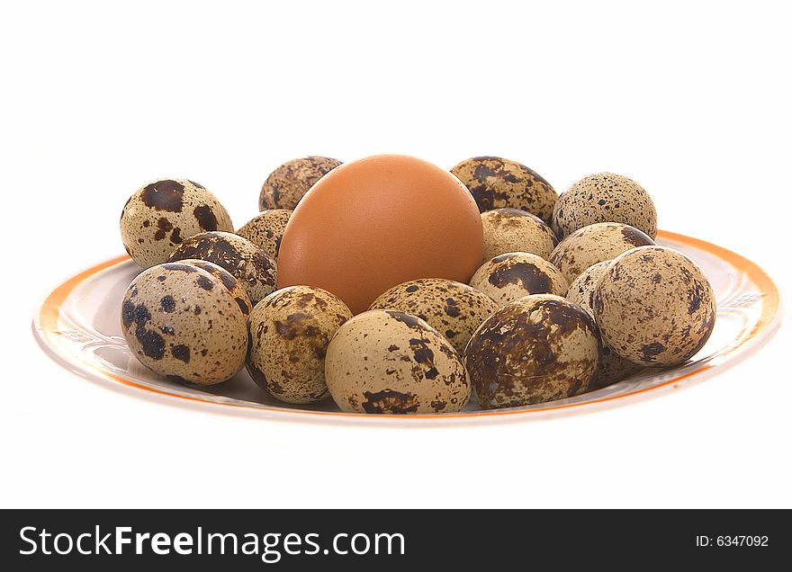 Photo bird eggs in a plate on a white background. Photo bird eggs in a plate on a white background.