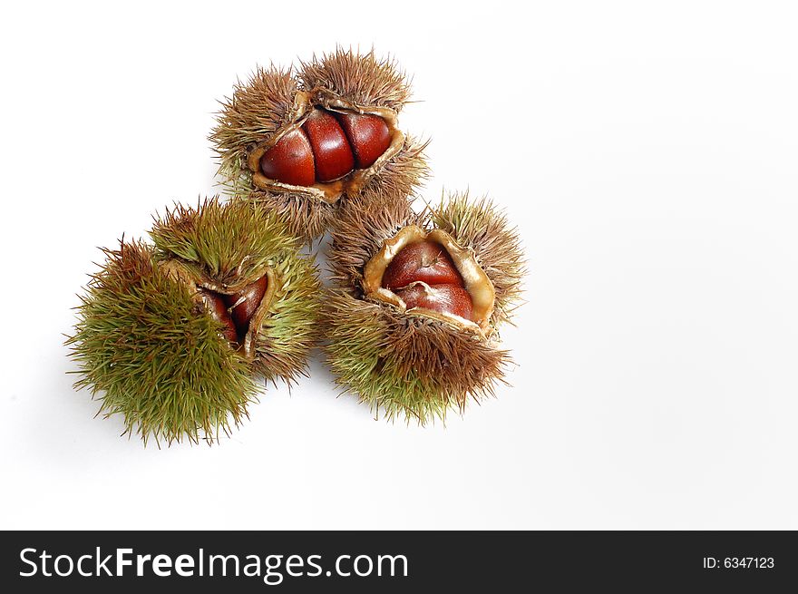 Chestnuts isolated on a white background