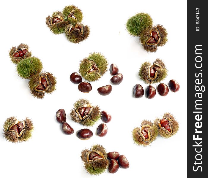 Many chestnuts isolated on a white background
